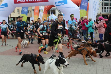 dogtrekking_2022